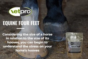 Vetpro: Vetpro Equine Four Feet