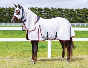 Summer Horse Covers Fly Sheets: WeatherBeeta Summer Sheet Lite Stretch Hooded Combo