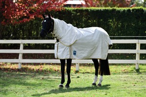 Summer Horse Covers Fly Sheets: Kool Coat Cotton Combo 2022