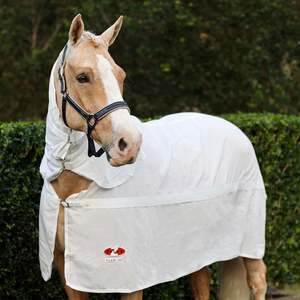 Summer Horse Covers Fly Sheets: Zilco Flag Combo Cover