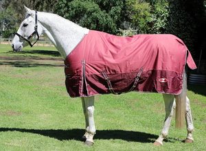 Winter Horse Rugs: Zilco Explorer 200 Rug - Dusk/Burgundy