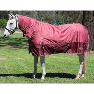 Winter Horse Rugs: Zilco Explorer 200 Combo Rug - Dusk/Burgundy