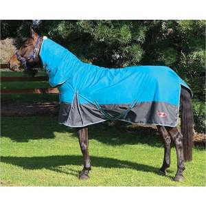 Winter Horse Rugs: Zilco Explorer 100 Combo Rug - Turquoise/Grey