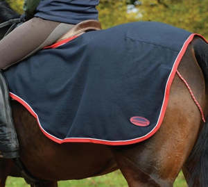 Winter Horse Rugs: WeatherBeeta Exercise Fleece