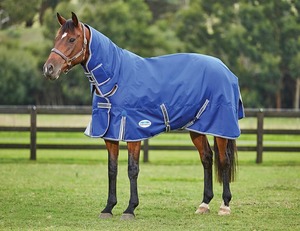 Mid Season Horse Rugs: WeatherBeeta ComFiTec Premier Free II Combo Lite