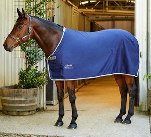 Show Rugs: Weatherbeeta Show Sheet Standard Neck