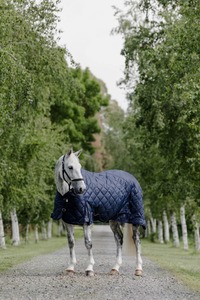 Show Rugs: Cavallino Stable Rug 100gm