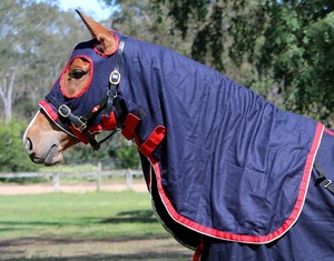 Show Rugs: Zilco Stadium Wool Hood