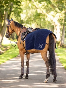 Horse Cover Extras: LeMieux Clima-Tek Exercise Quarter Sheet