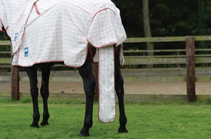 Horse Cover Extras: Kool Coat Cotton Tail Bag II