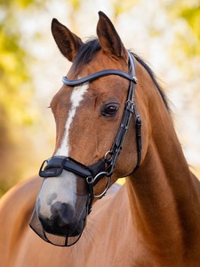 Ear Bonnets: LeMieux Comfort Shield Drop Nose Filter 2pk