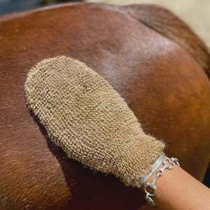 Eco Horse Mighty Mitt