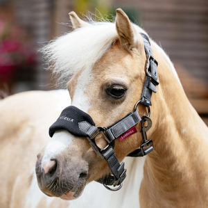 Halters Lead Ropes: LeMieux Mini Vogue Headcollar & Leadrope