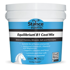 Equilibrium B1 (Blue)