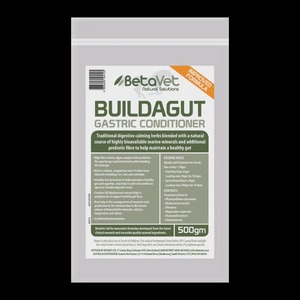Digestive Health Supplements For Horses: Betavet Buildagut