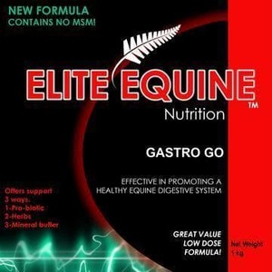Digestive Health Supplements For Horses: Elite Equine Gastro Go