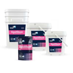 Digestive Health Supplements For Horses: KER Equishure