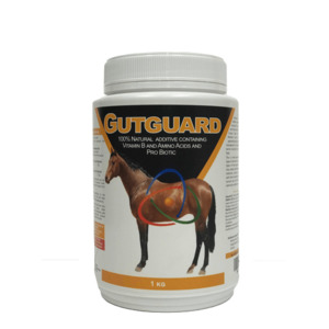Gutguard