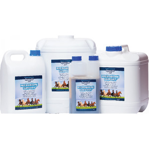 Digestive Health Supplements For Horses: Dynavyte