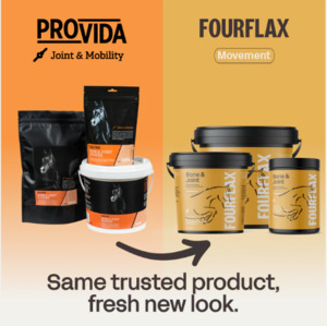 Four Flax Equine Bone & Joint Powder