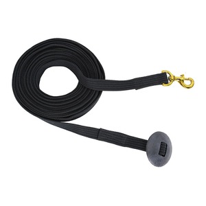 Lunging Gear: Flair Lunge Lead