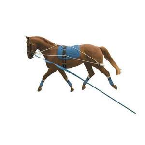 Lunging Gear: Kincade Lunging Training System