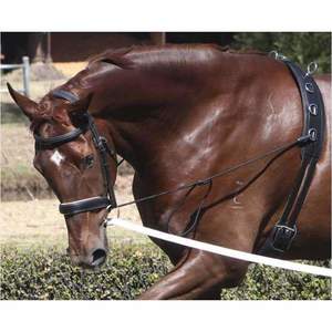 Lunging Gear: Zilco Elastic Neck Stretcher