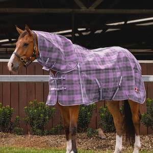 Horse Covers Nz: Zilco Supashade Combo Cover - Purple/Grey/Pink