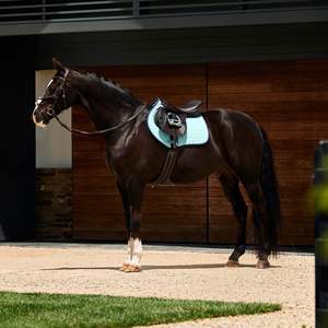 Weatherbeeta Horse Covers: Weatherbeeta Suede Elite Air-Tec Jump Shaped Saddle Pad