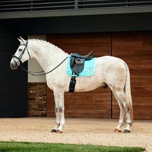 Weatherbeeta Satin Luxe Air-Tec Dressage Saddle Pad