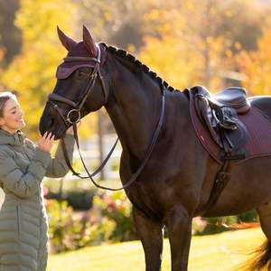 Lemieux: LeMieux Essence Eurojump Square - AW25