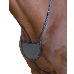 Collegiate: Collegiate Number Holder