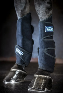 Horse Boots Online: LeMieux Tendon Chill Boots