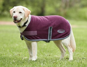 Dog Feed: Weatherbeeta ComFiTec Fleece Dog Coat