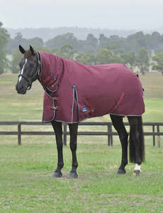 Weatherbeeta Comfitec Essential Turnout Combo Rug - Medium 220g