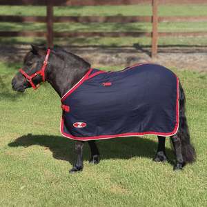 Zilco Mini Stadium Wool Rug