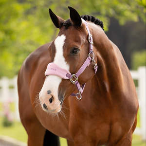 LeMieux Vogue Headcollar & Leadrope - SS26