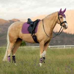 LeMieux Suede Dressage Square Saddle Pad - SS26