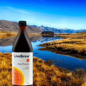 Live Brew 1Ltr (Organic Probiotic for Humans)