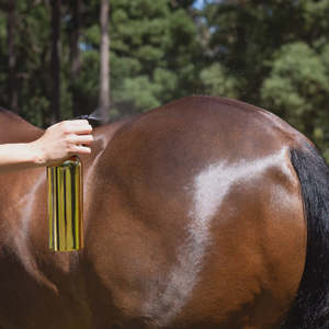 New Tack: Hairy Pony Pre-Mixed Essential Oil Coat Conditioner