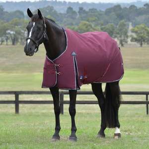 Weatherbeeta ComFiTec Essential Turnout Standard Neck Rug - Lite 0g