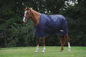 Horse Covers Nz: Saxon Defiant with Buckle 600D Standard Neck - Lite Plus 50g - Navy/White