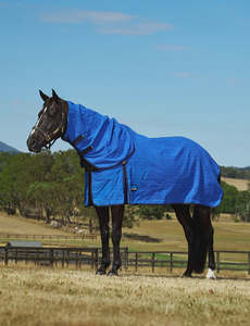 Horse Covers Nz: Weatherbeeta Unlined Canvas Combo Cover