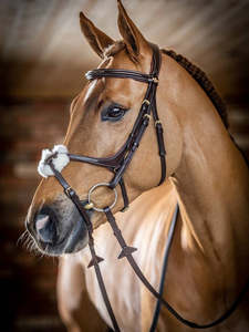 Lemieux: LeMieux Kudos Grackle Bridle