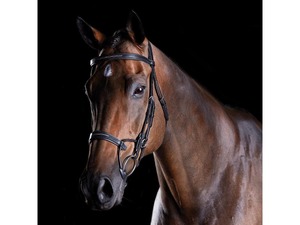 Collegiate: Collegiate ComFiTec Fancy Stitch Bridle