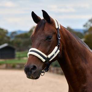 Dublin Soft Fit Headcollar