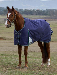 Weatherbeeta ComFiTec Plus Dynamic Turnout Standard Neck Rug - Medium Lite - 100g