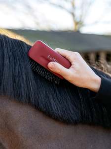 LeMieux Mane Tamer - Red