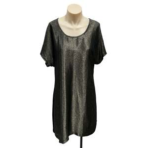 Dresses: Shiny Dress - Size 12