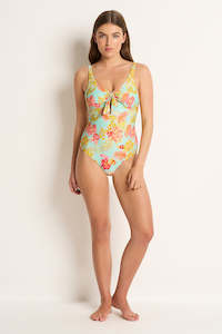 Powermesh Support: Madison Tie Front One Piece